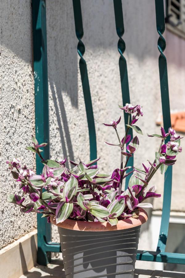 Guest house Silvana Split